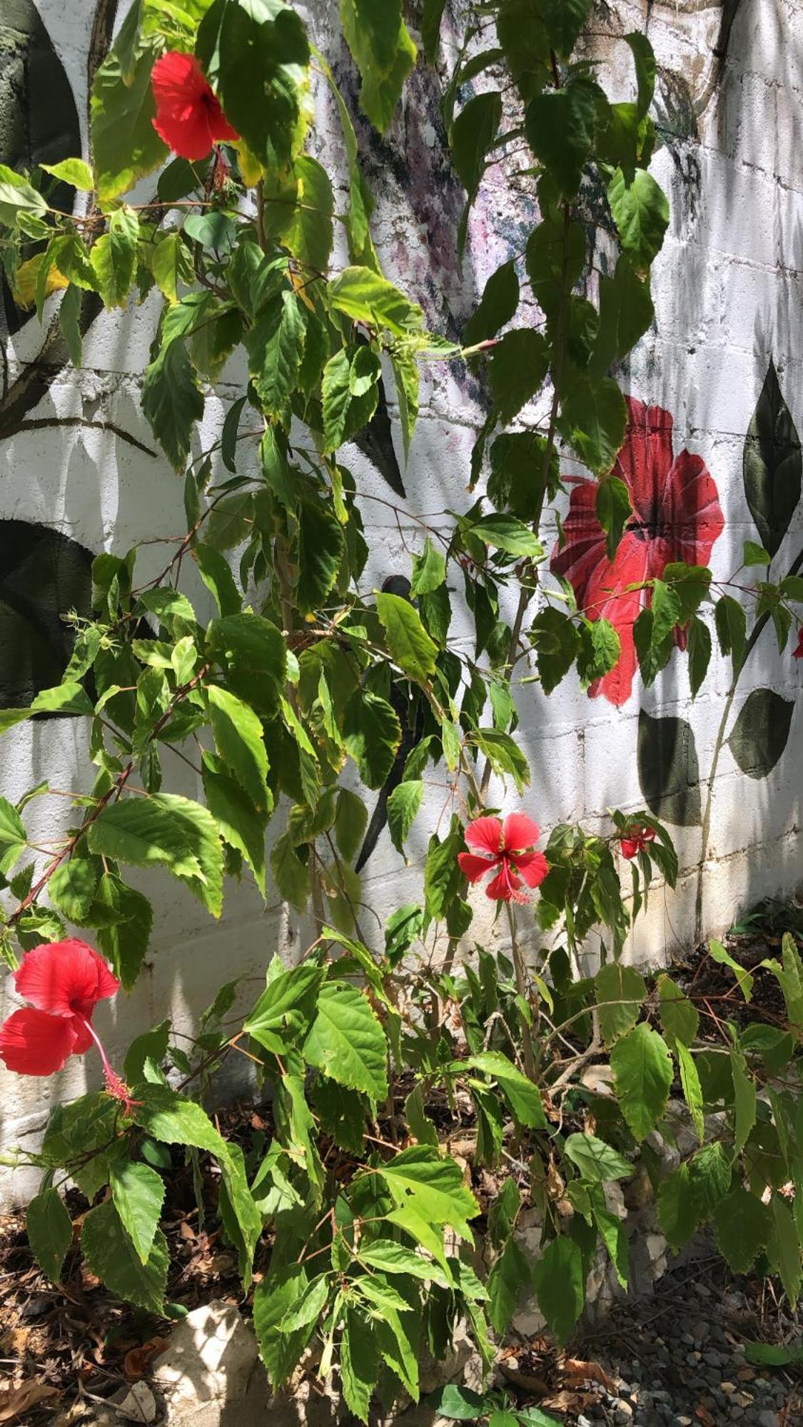 Casona La Carolina Villa San Andrés Eksteriør bilde