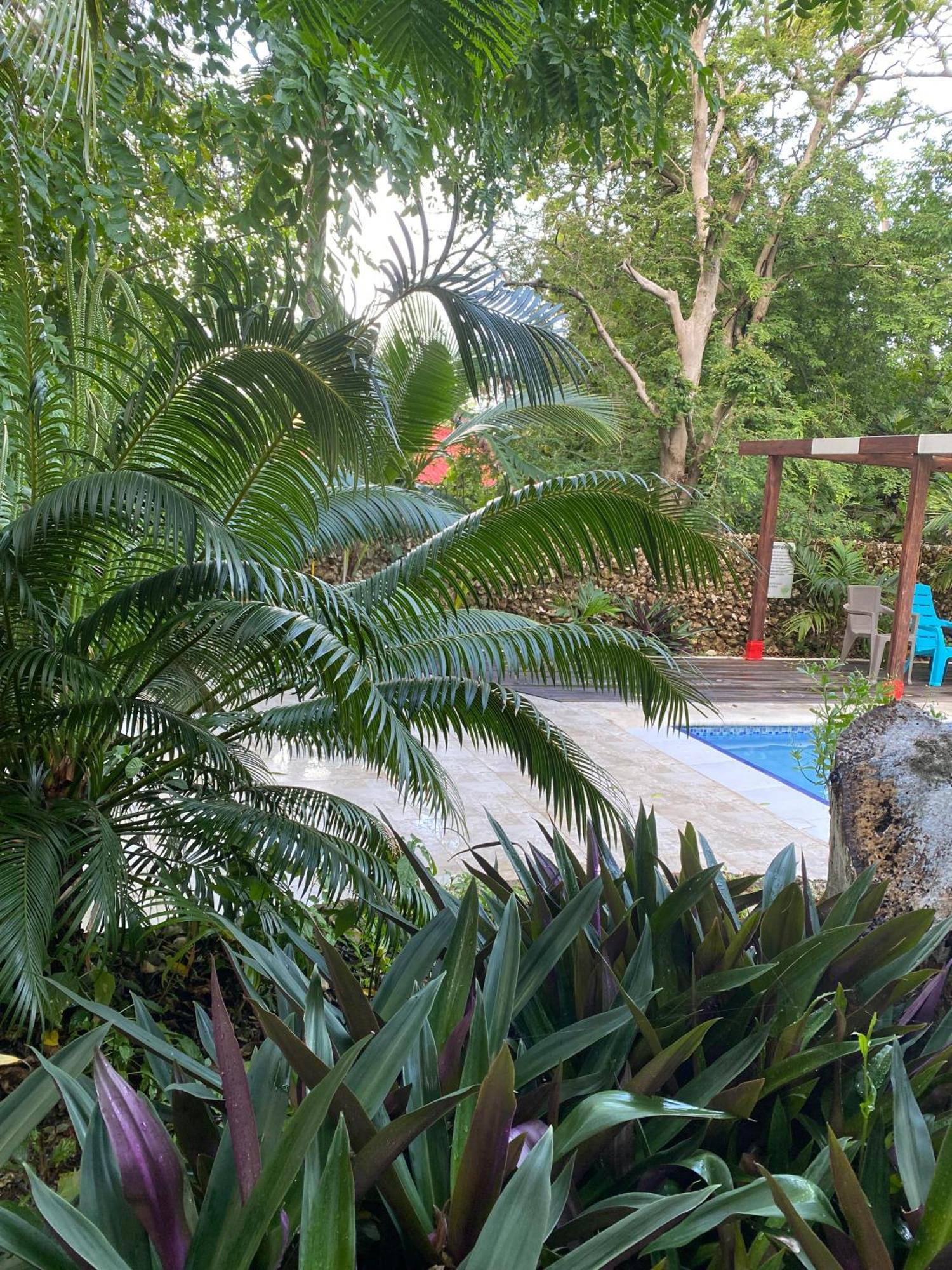 Casona La Carolina Villa San Andrés Eksteriør bilde
