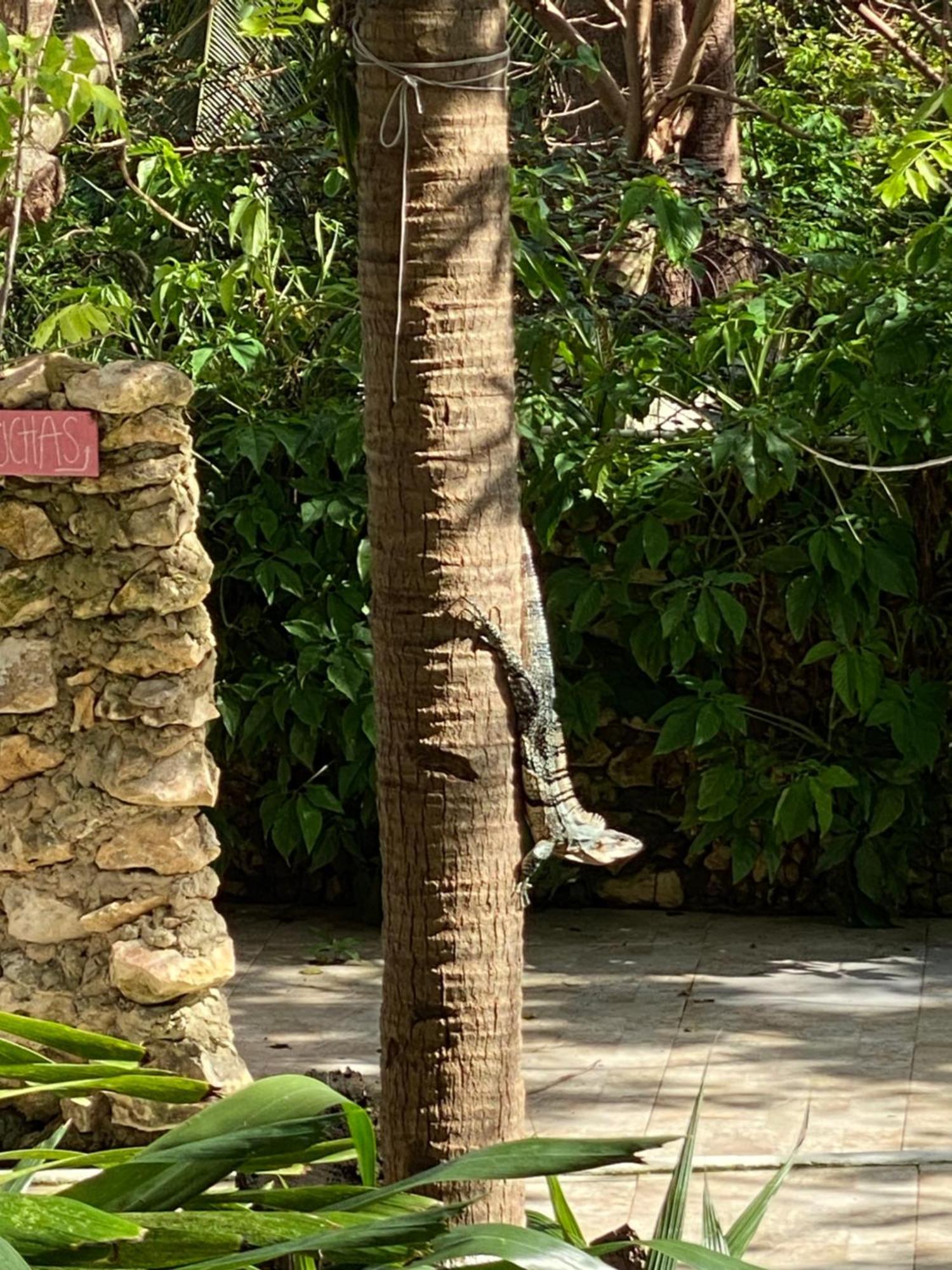 Casona La Carolina Villa San Andrés Eksteriør bilde
